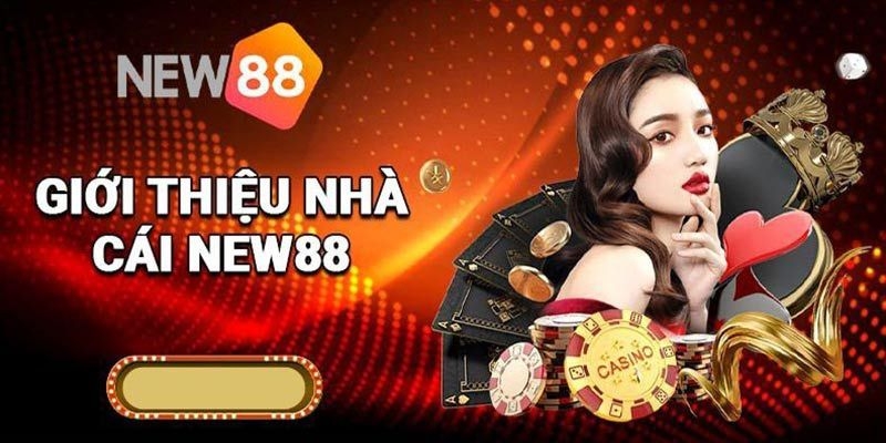 Giới thiệu về thương hiệu toàn diện NEW88